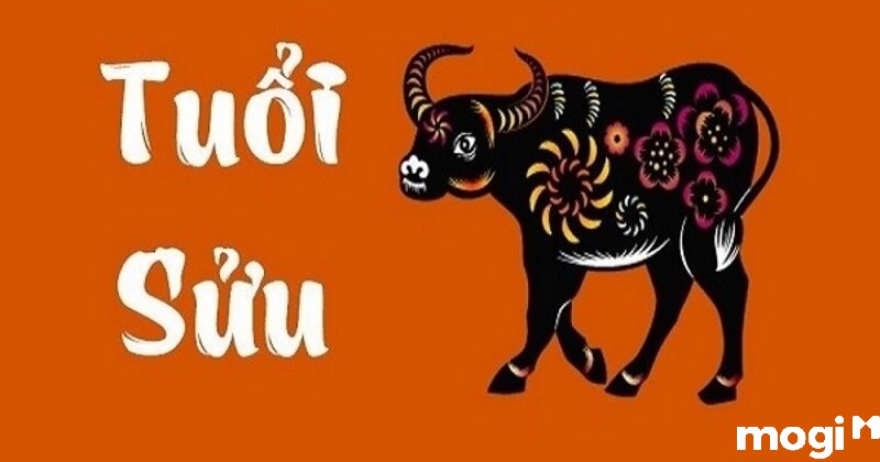 sửu là con gì
