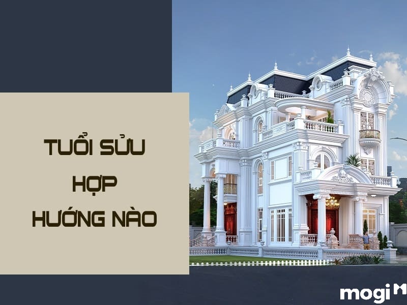 sửu là con gì
