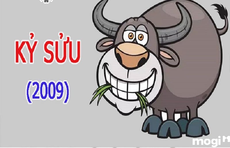 sửu là con gì
