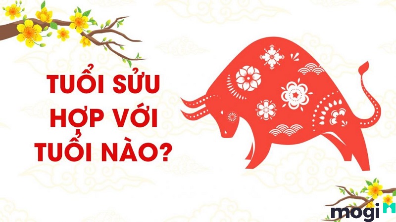 sửu là con gì