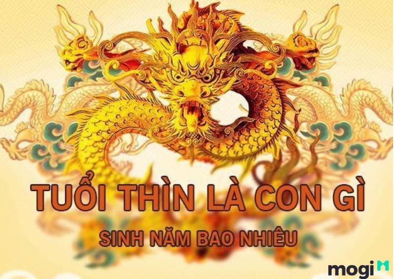 Tuổi Thìn sinh những năm nào? Mệnh gì?