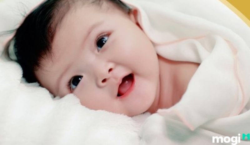 Tuần Triệt là gì - Cung Tử Tức