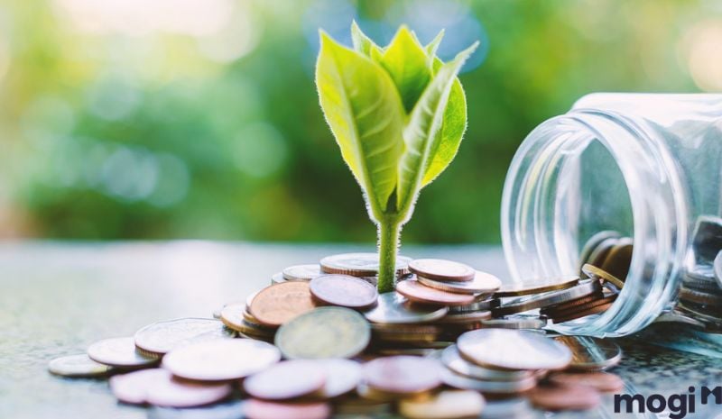 Tuần Triệt là gì - Cung Tài Bạch