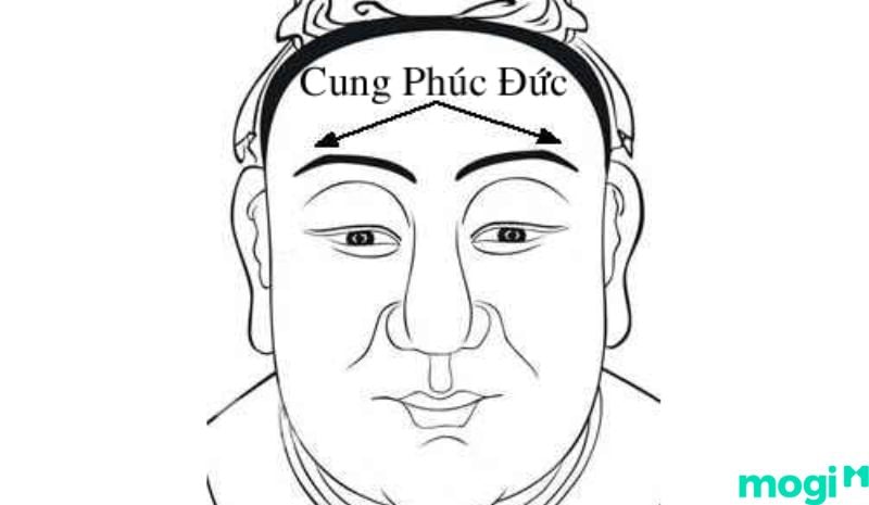 Tuần Triệt là gì - Cung Phúc Đức