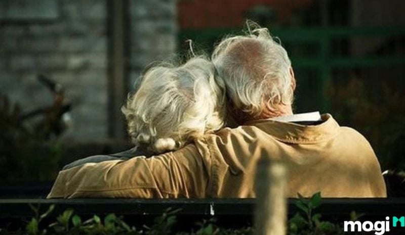 Tuần Triệt là gì - Cung Phụ Mẫu