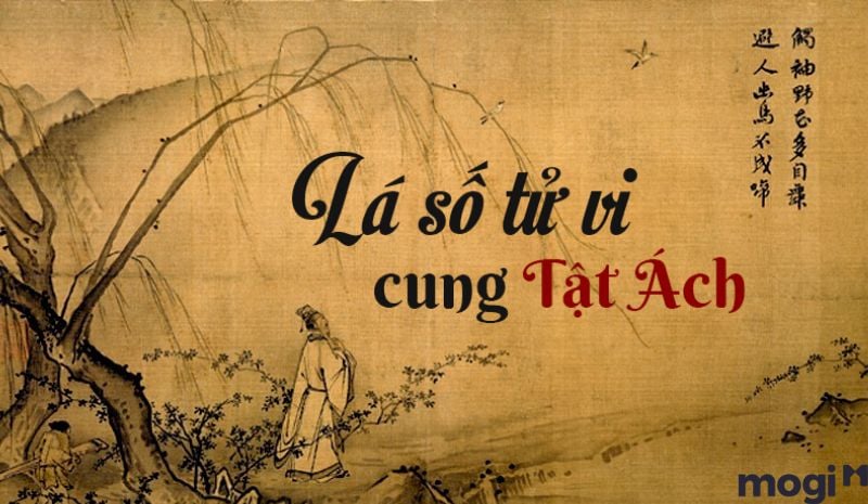 Tuần Triệt là gì - Cung Tật Ách