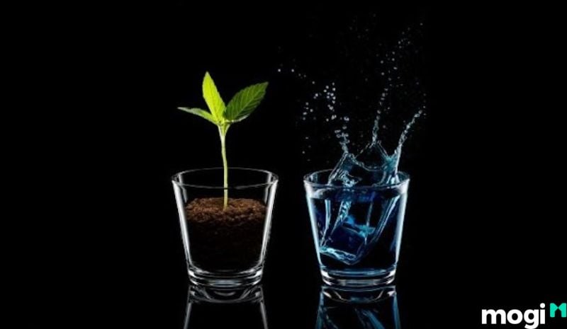 Tuần Triệt là gì - Sao hành thủy và Thổ sẽ không sợ Tuần Triệt