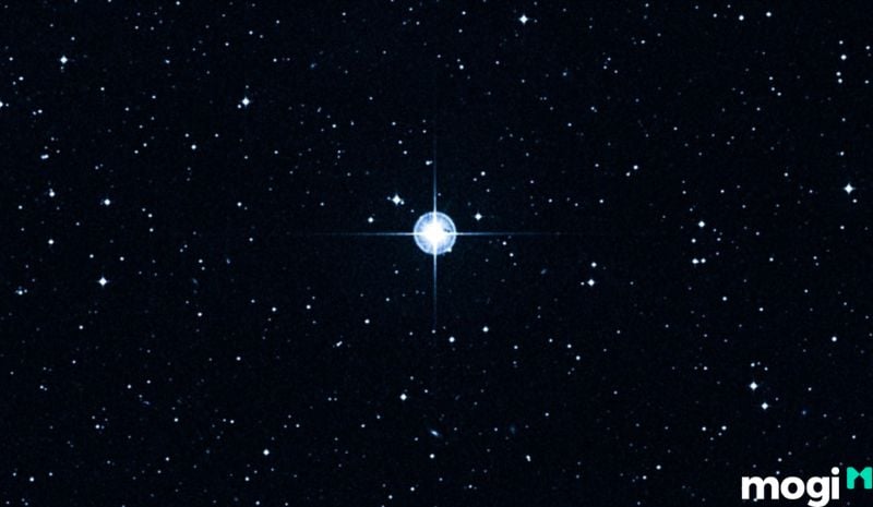 Tuần Triệt là gì - Một số trường hợp đặc biệt liên quan đến bộ sao Tuần Triệt