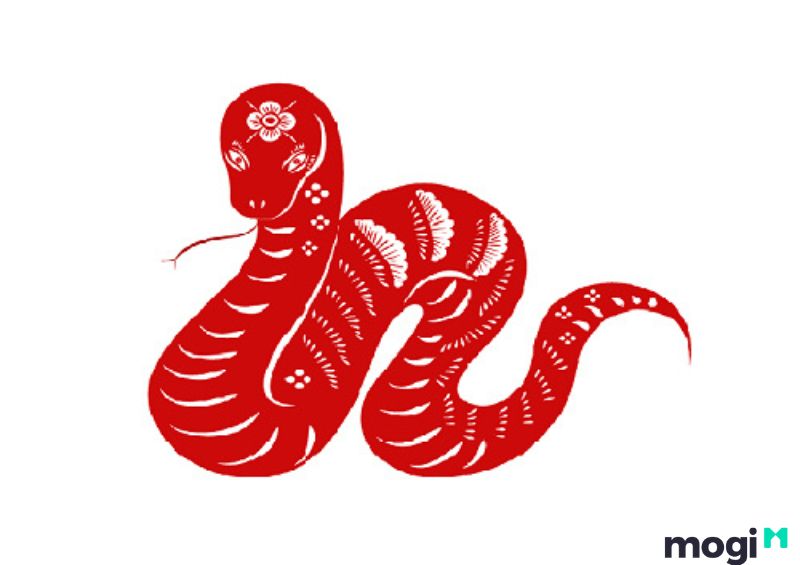 Tuổi Tỵ hợp màu nào 