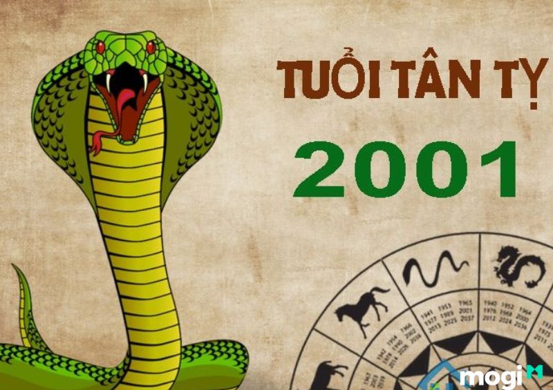  Tân Tỵ 2001