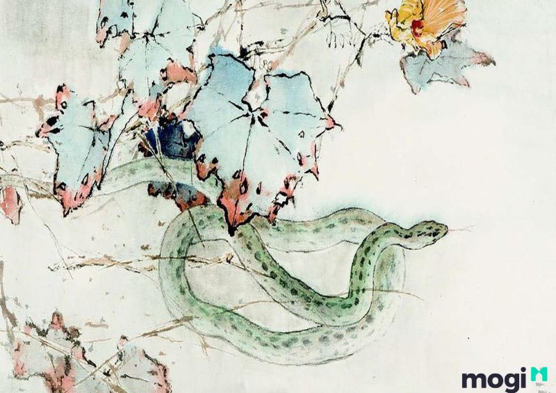  Tuổi Tỵ kỵ với tuổi nào