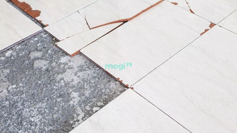 Ảnh hưởng của nền nhà bị phồng
