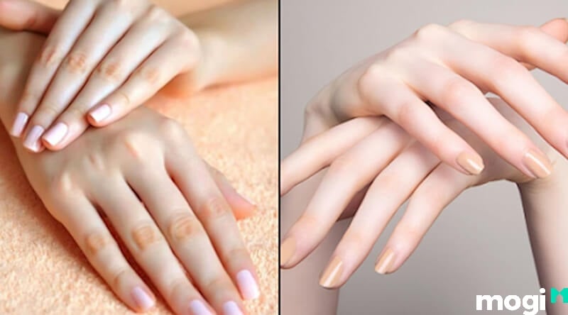 tay búp măng tay búp măng mẫu 1