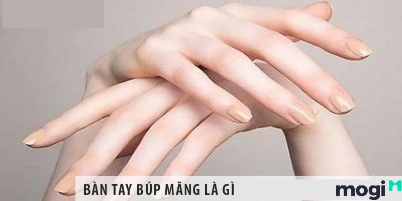 tay búp măng tay búp măng