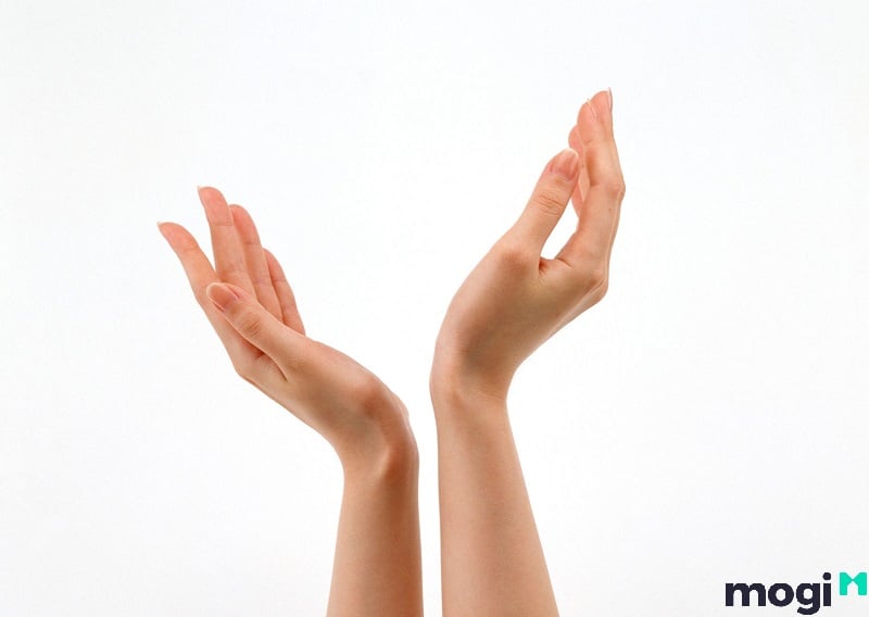 tay búp măng Sự nghiệp người sở hữu tay búp măng