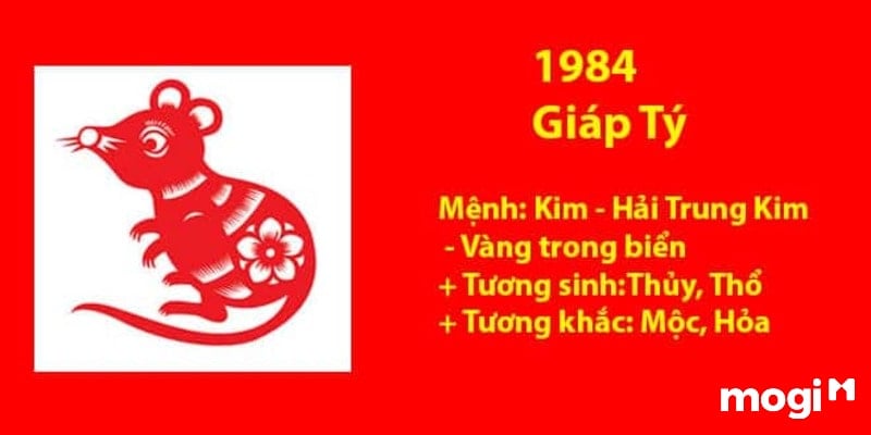 Tuổi Giáp Tý hợp hướng nào? Chọn hướng nhà phong thủy tuổi 1984 2 tuổi giáp tý hợp hướng nào
