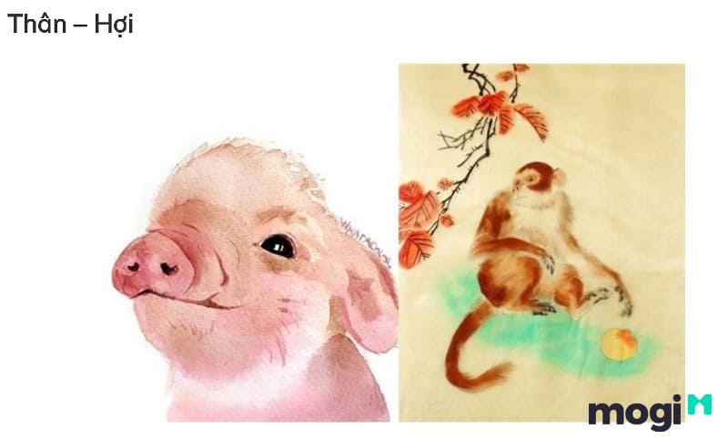 Lục Hại Là Gì? Cách Tính Và Hướng Dẫn Hoá Giải Lục Hại Cực Hiệu Quả 12 Tuổi Thân xung hại với tuổi Hợi nằm