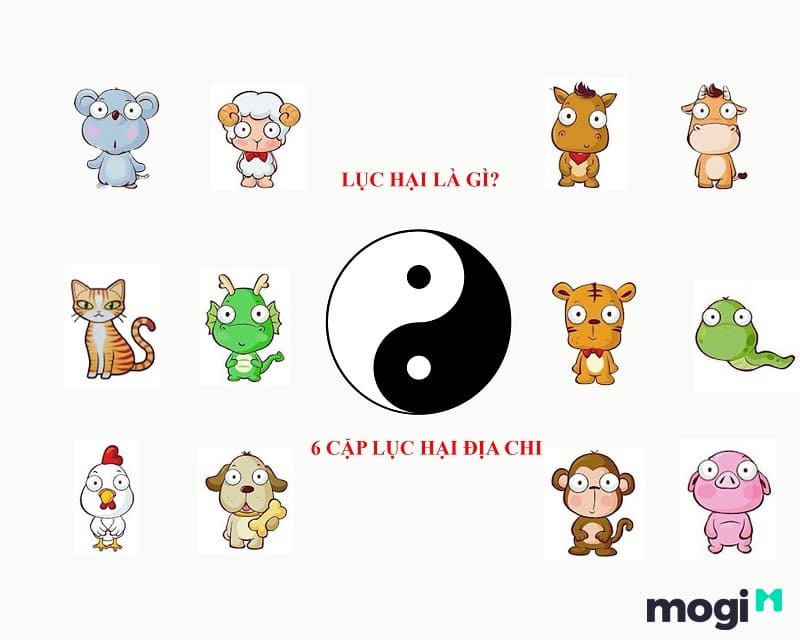 Lục Hại Là Gì? Cách Tính Và Hướng Dẫn Hoá Giải Lục Hại Cực Hiệu Quả 2 Lục Hại là gì? Là khái niệm chỉ 6 cặp giáp tương hại lẫn nhau