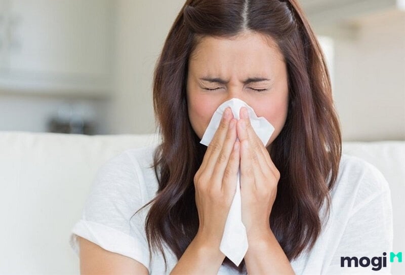 Do cơ thể đang bị viêm mũi dị ứng