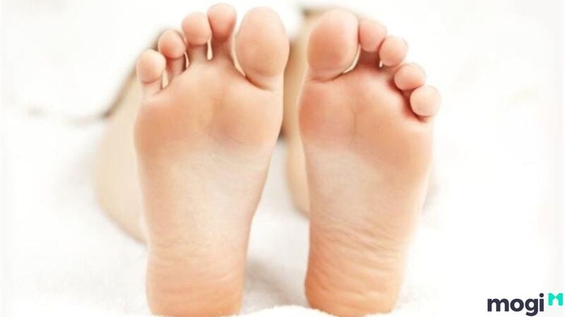 Tướng bàn chân nhuận sắc