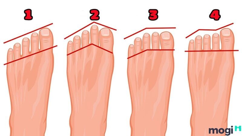 Xem tướng bàn chân