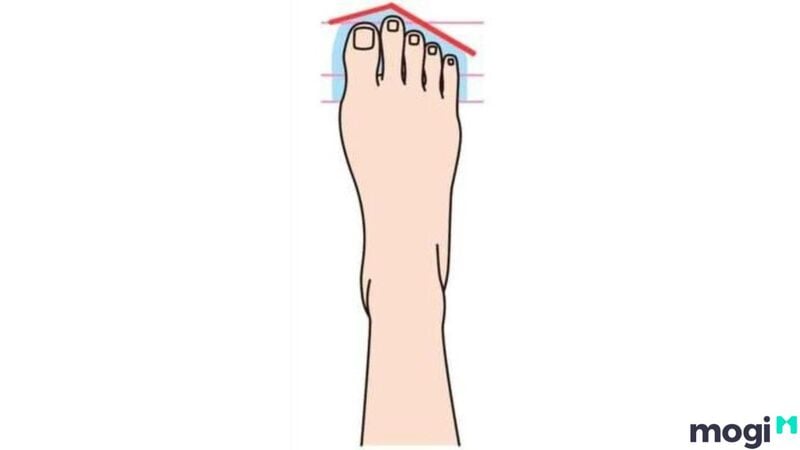 Tướng bàn chân ngón thứ 2 dài nhất