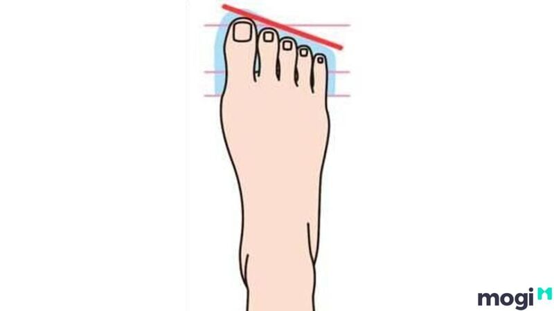 Tướng bàn chân ngón cái dài nhất