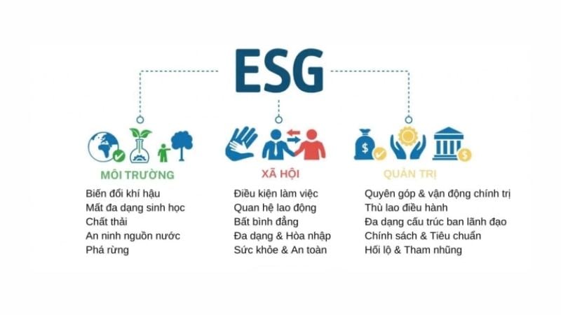 ESG (Environmental, Social, and Governance) là thuật ngữ chỉ các yếu tố Môi trường (E), Xã hội (S) và Quản trị (G)