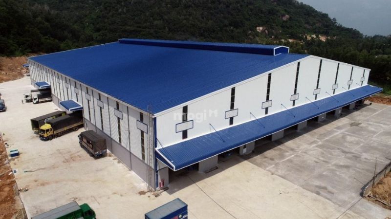 Thị trường và nhu cầu hiện tại