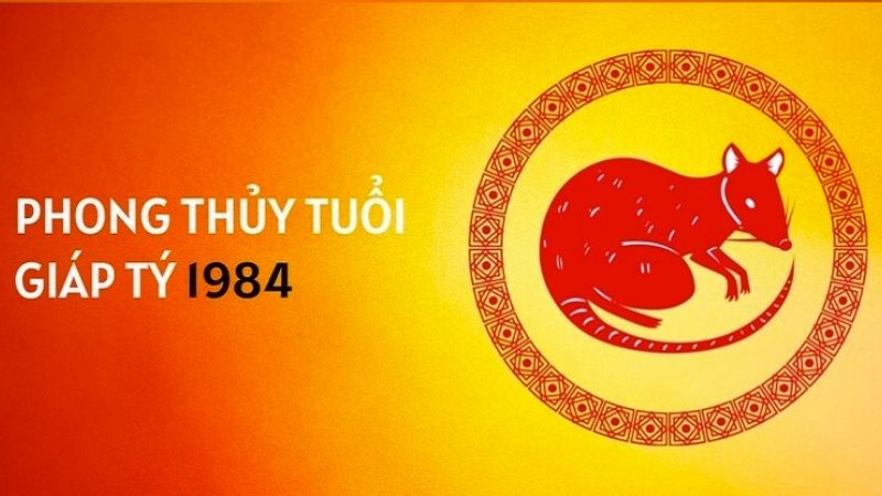 Tuổi Giáp Tý 1984 và phong thủy trong năm 2026