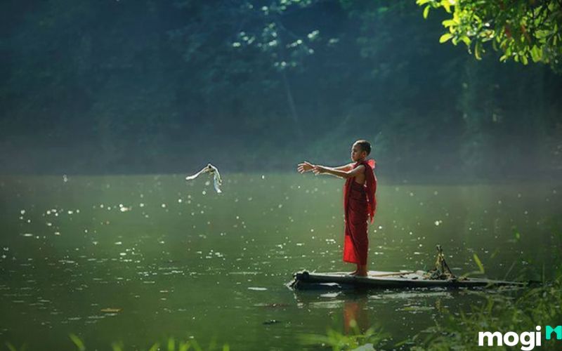 Điều kiêng kỵ trong 49 ngày có tang đó là kiêng sát sinh