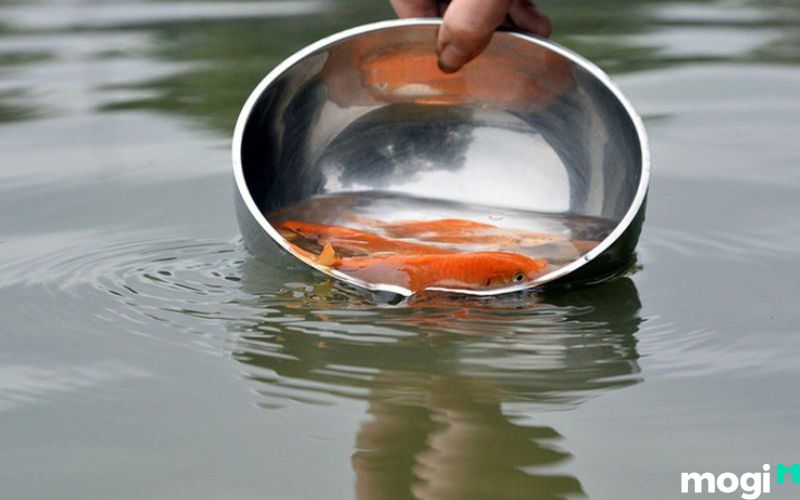 Hồi hướng cho linh hồn đã khuất