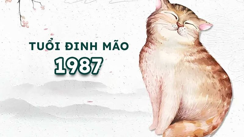 Tổng quan phong thủy Tuổi Đinh Mão 1987 năm 2026