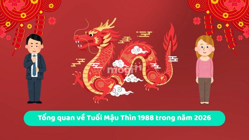 Tìm hiểu tổng quan về Tuổi Mậu Thìn 1988 trong năm 2026 trước khi xây nhà