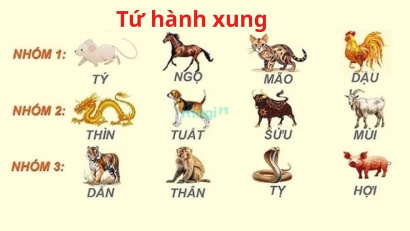 Tuổi Xông Đất 2026: Bảng Tra Cứu Tuổi Tốt Tuổi Kỵ Chi Tiết 3 Khi chọn tuổi xông đất 2026, gia chủ nên chú ý tránh những con giáp trong nhóm tứ hành xung