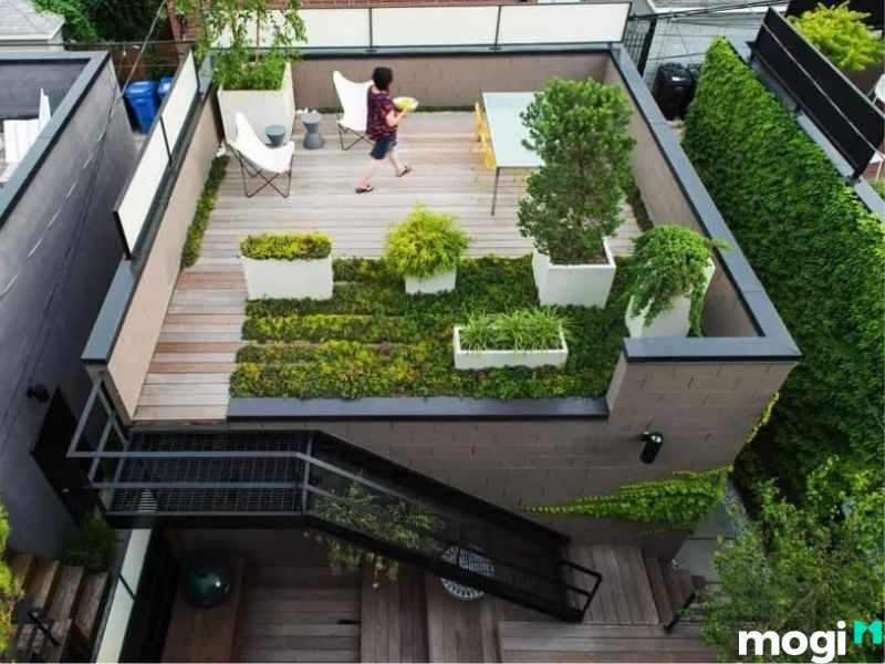 chống nóng sân thượng