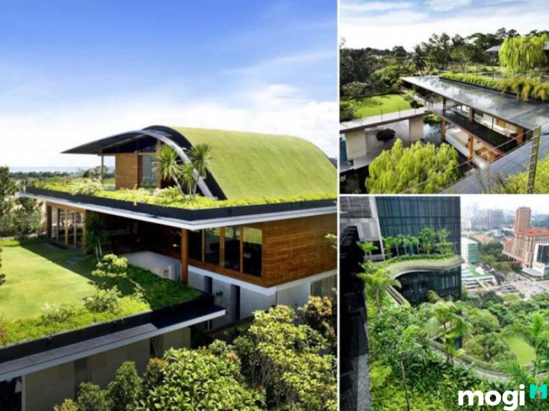 chống nóng sân thượng