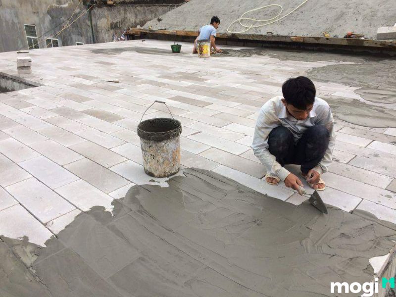 chống nóng sân thượng