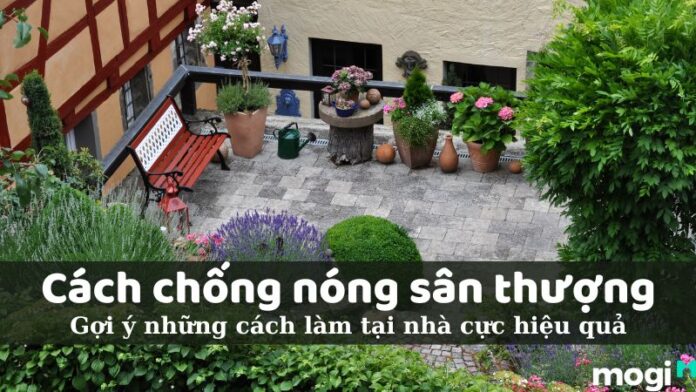 chống nóng sân thượng