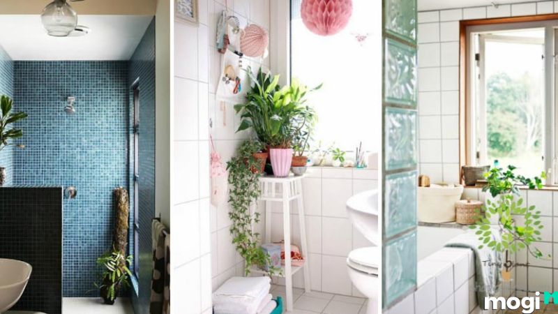 Thiết kế nhà vệ sinh và nhà tắm riêng