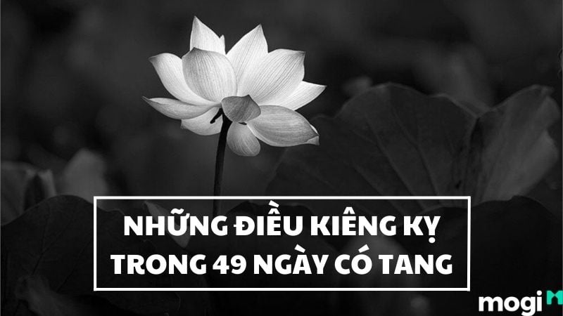 Những Điều Kiêng Kỵ Trong 49 Ngày Có Tang Mà Bạn Nên Tránh