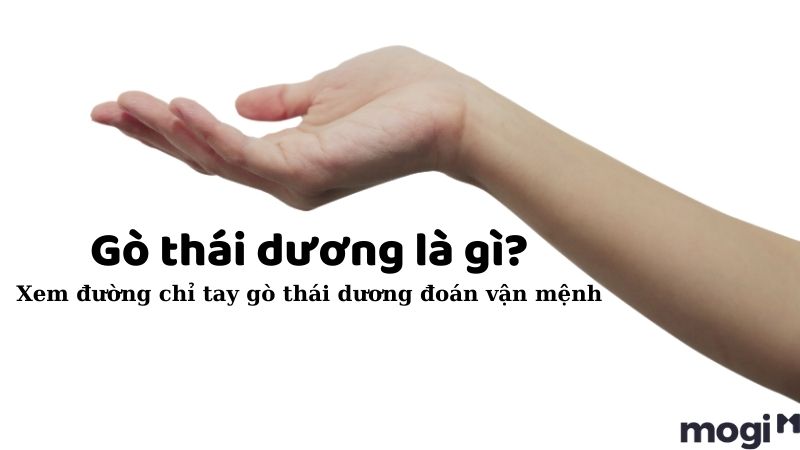 Gò Thái Dương là gì? Ý nghĩa & cách xem chuẩn xác theo tử vi