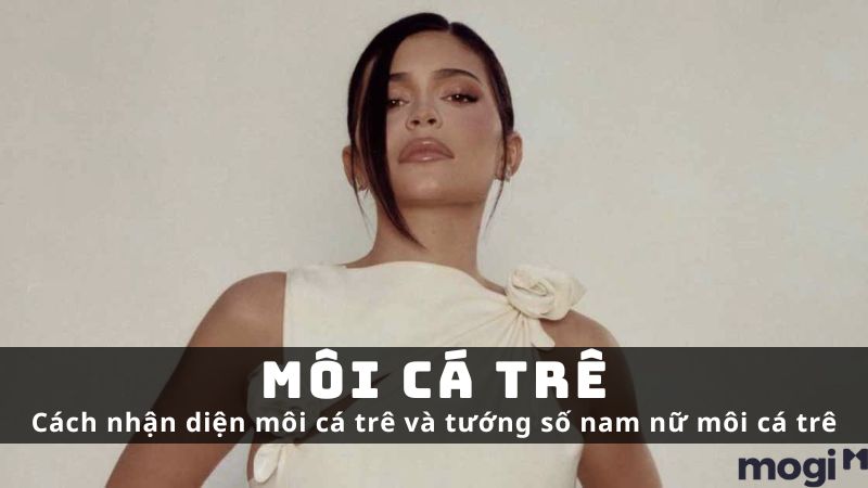 Xem tướng môi cá trê: Chi tiết điềm báo và cách cải vận hiệu quả