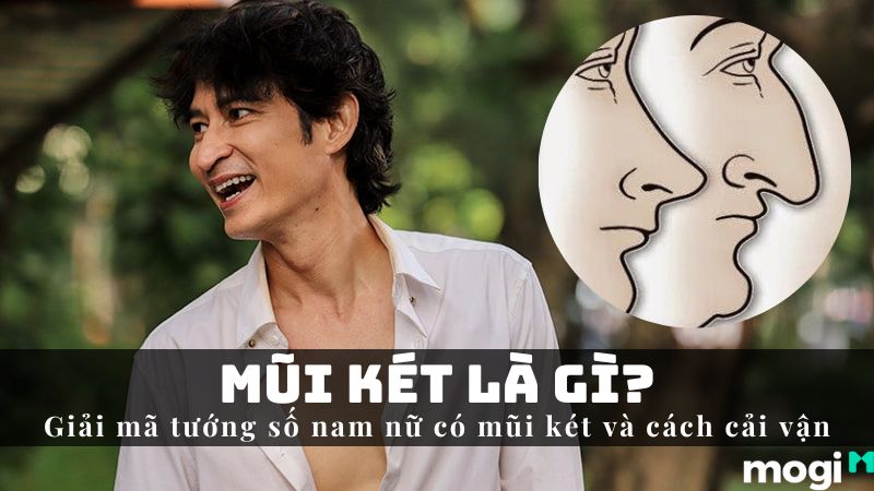 Mũi Két Là Gì? Giải mã chi tiết vận mệnh nam nữ và cách hóa giải