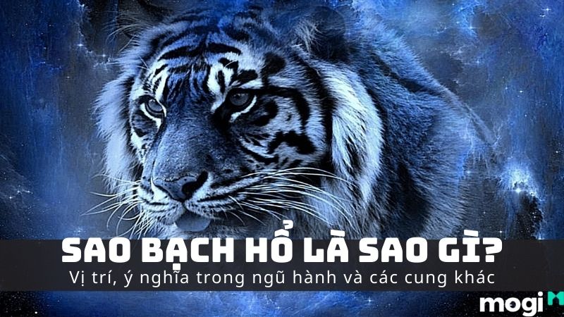 Sao Bạch Hổ Là Gì? Luận Giải Tử Vi Chi Tiết Và Cách Hóa Giải Hiệu Quả